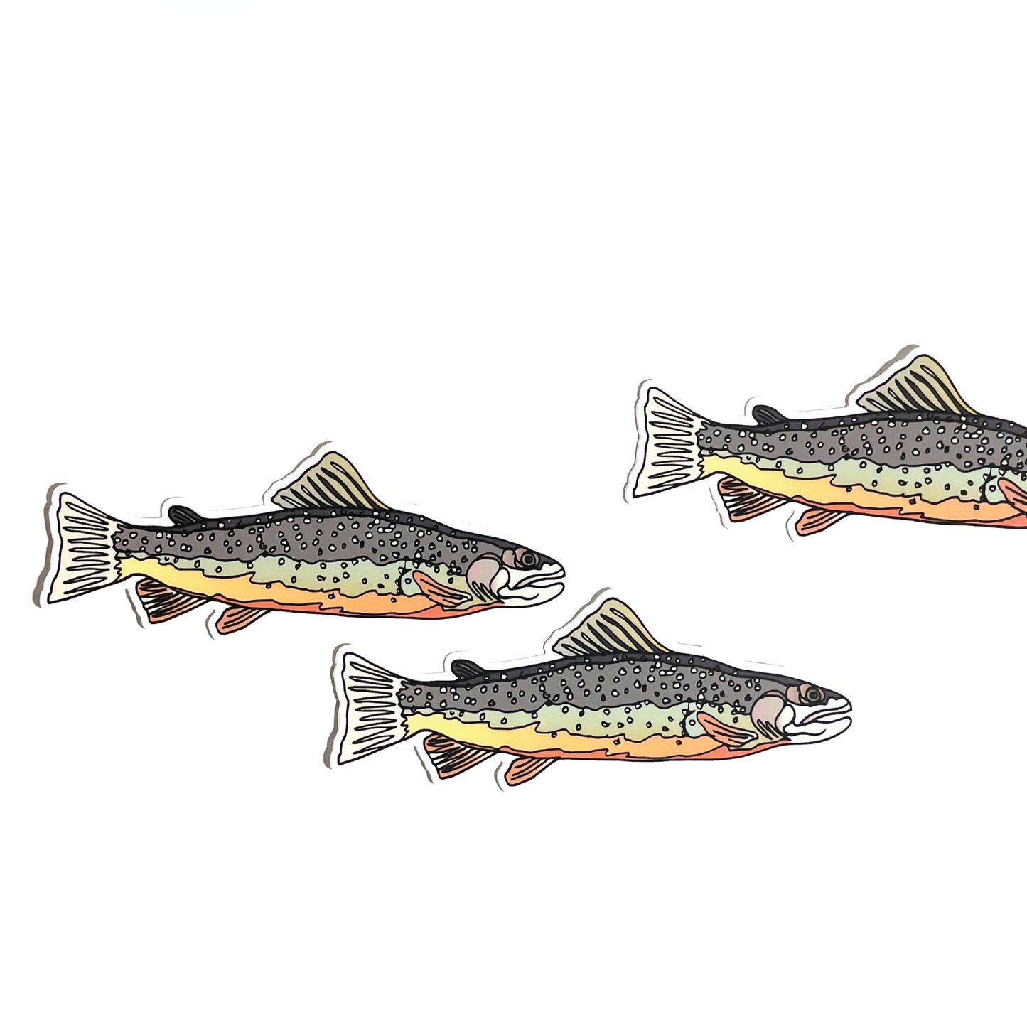 Trout Fish Sticker