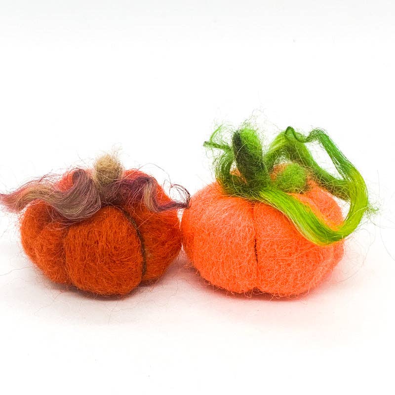 Adorable Pumpkin Felting Kit