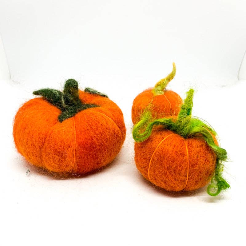 Adorable Pumpkin Felting Kit