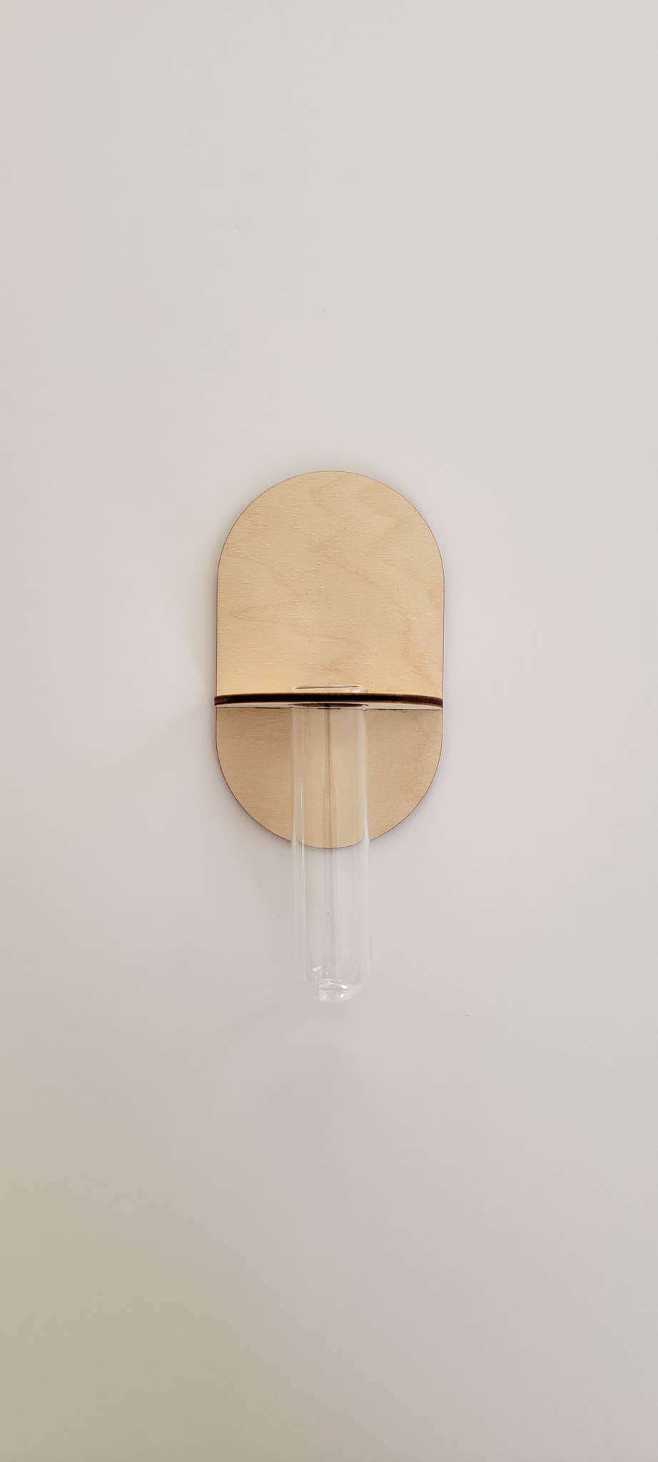 Propagation Wall Holder