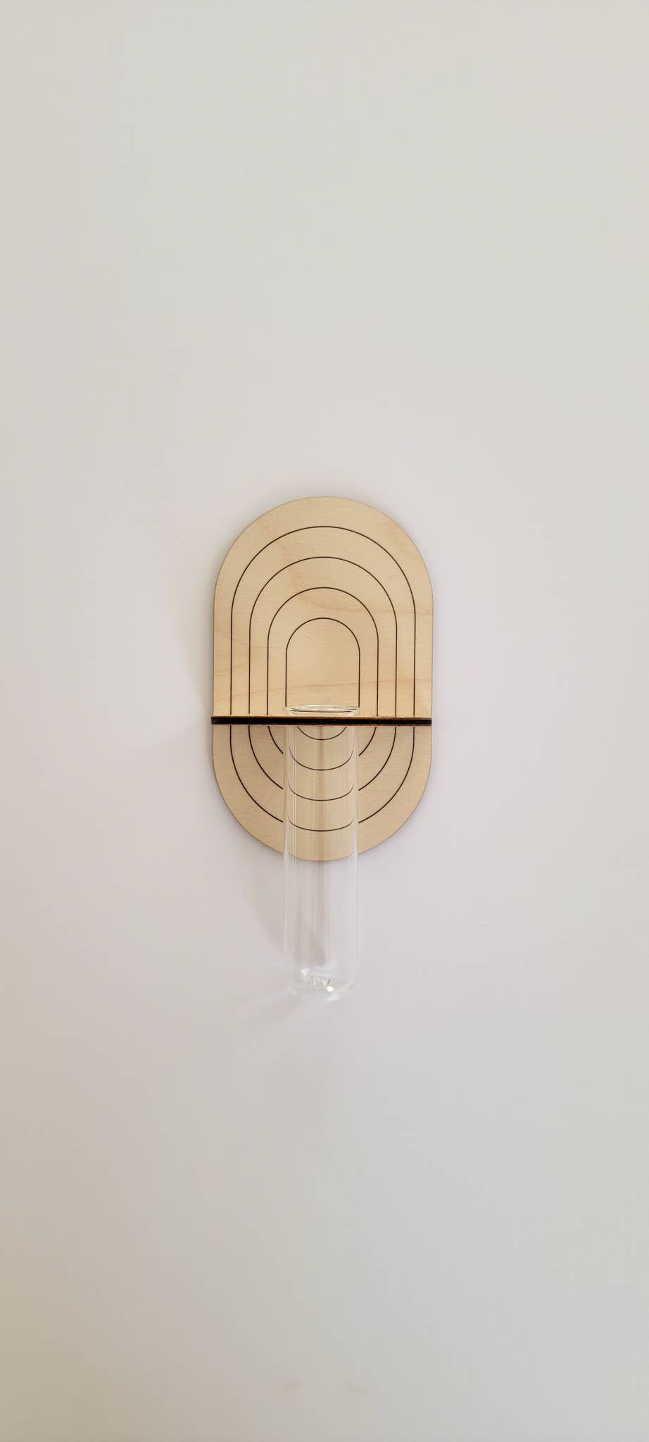 Propagation Wall Holder