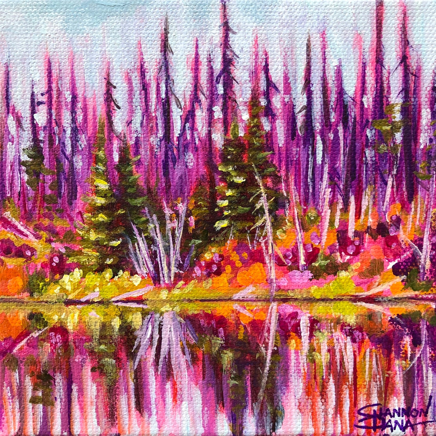 Beauty From Ashes by Shannon Dana