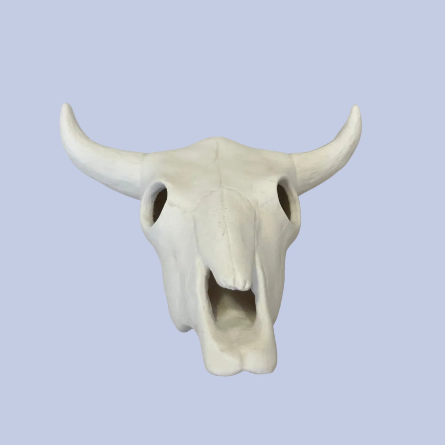 Cow Skull Ceramic Bisque