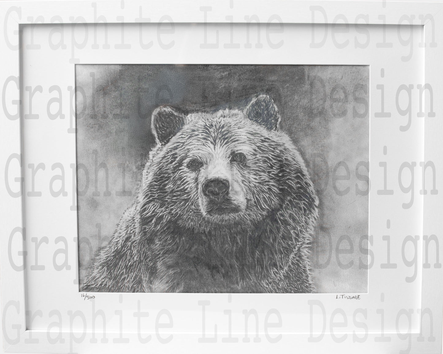 Bear Print by Laura Tisdale