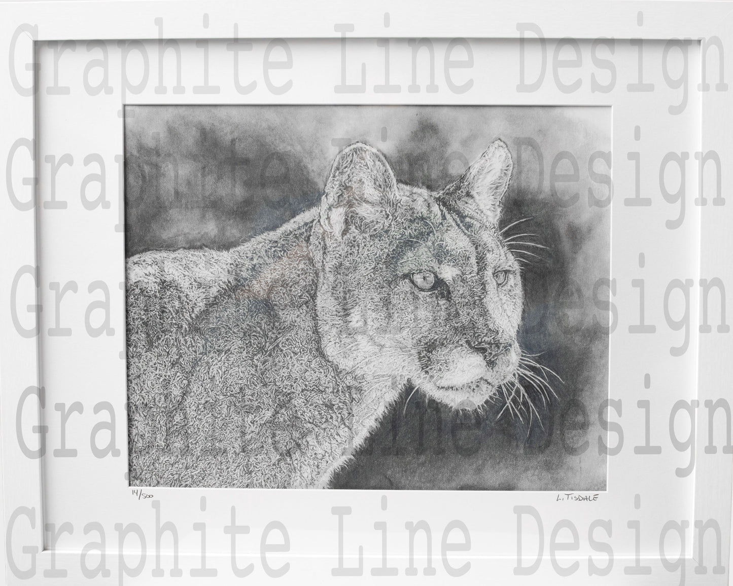 Cougar Print by Laura Tisdale