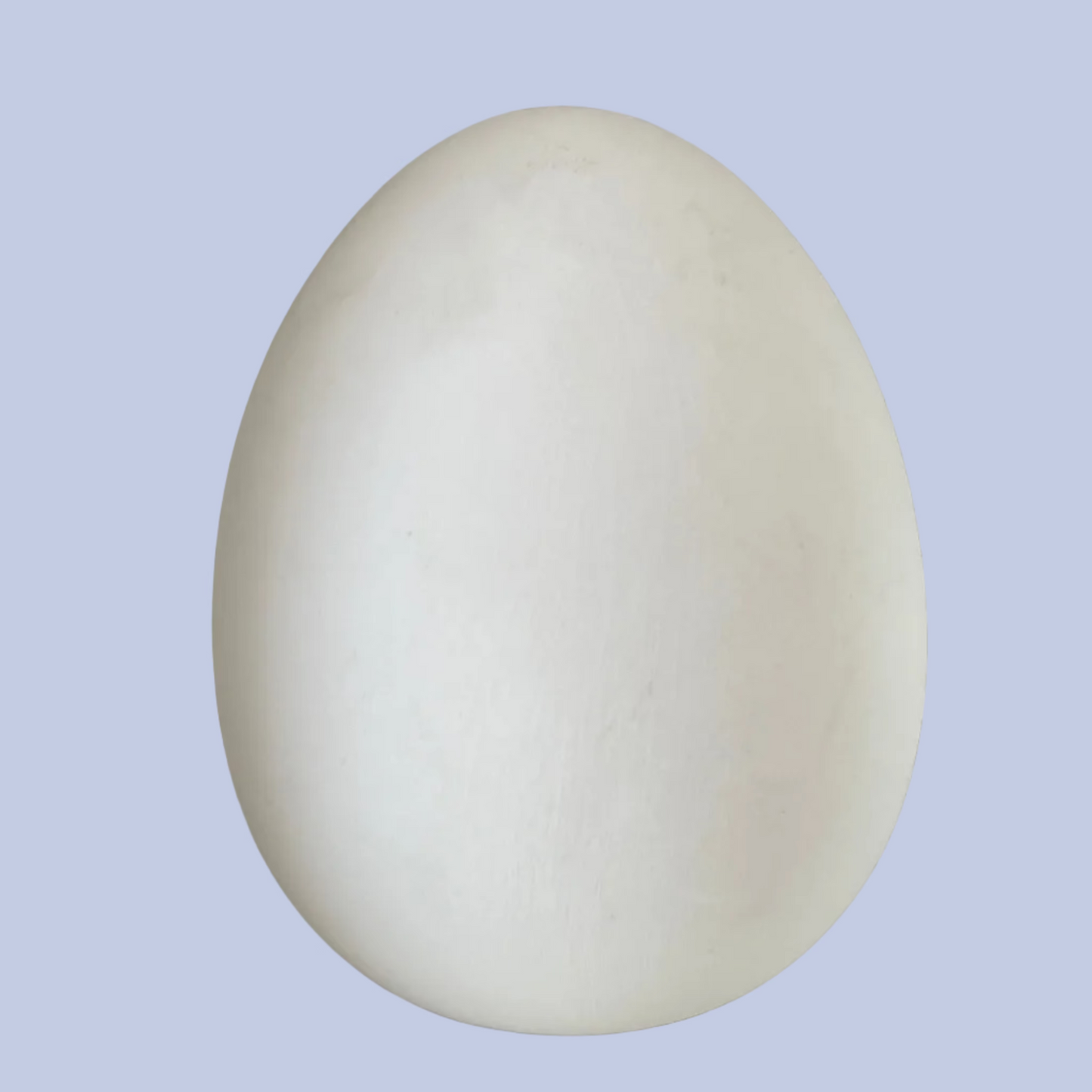 Large Egg Ceramic Bisque