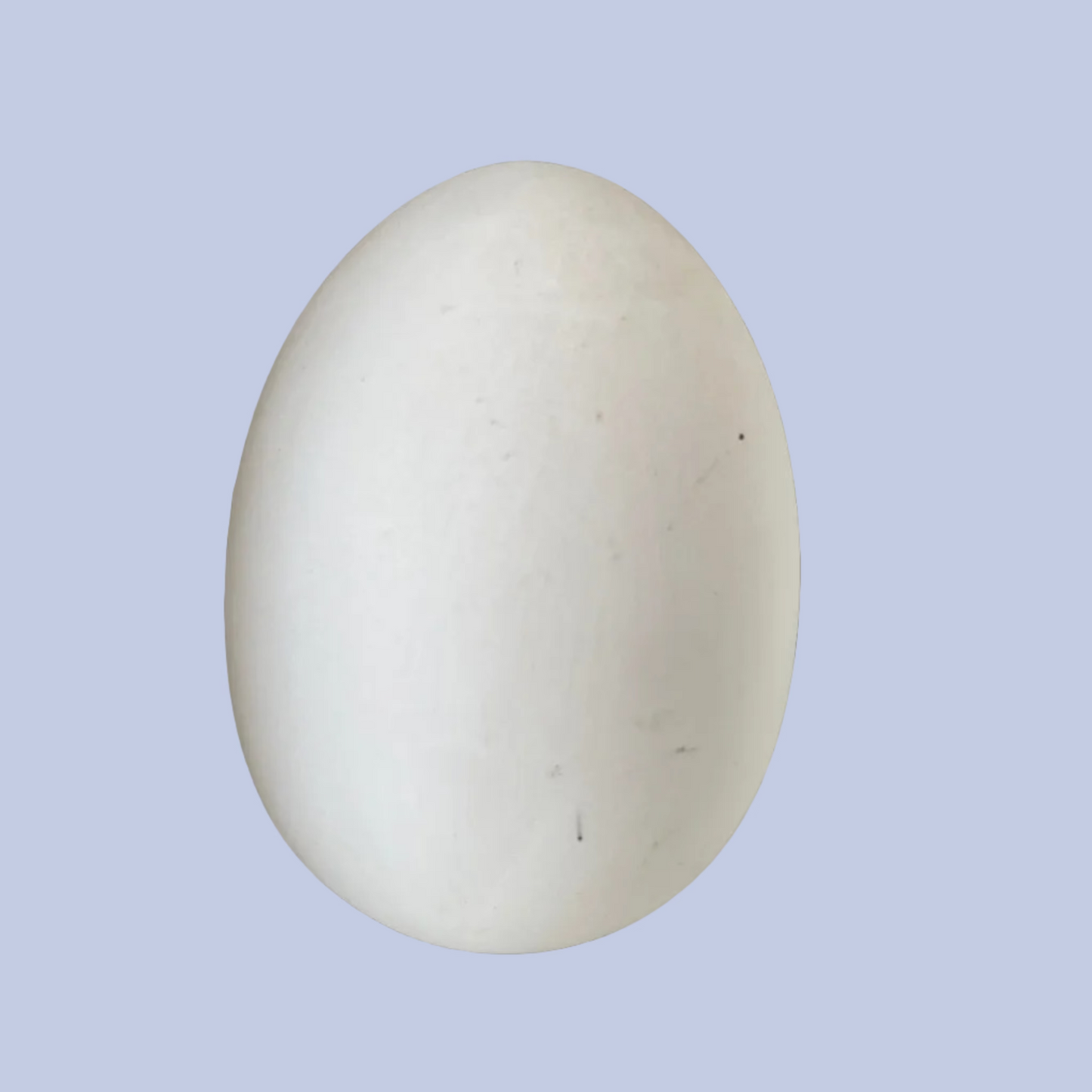 Medium Egg Ceramic Bisque