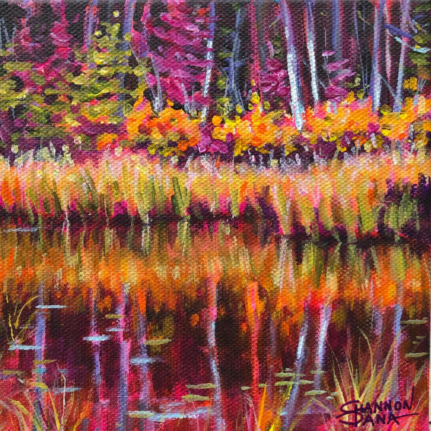 Sweet Stillness by Shannon Dana