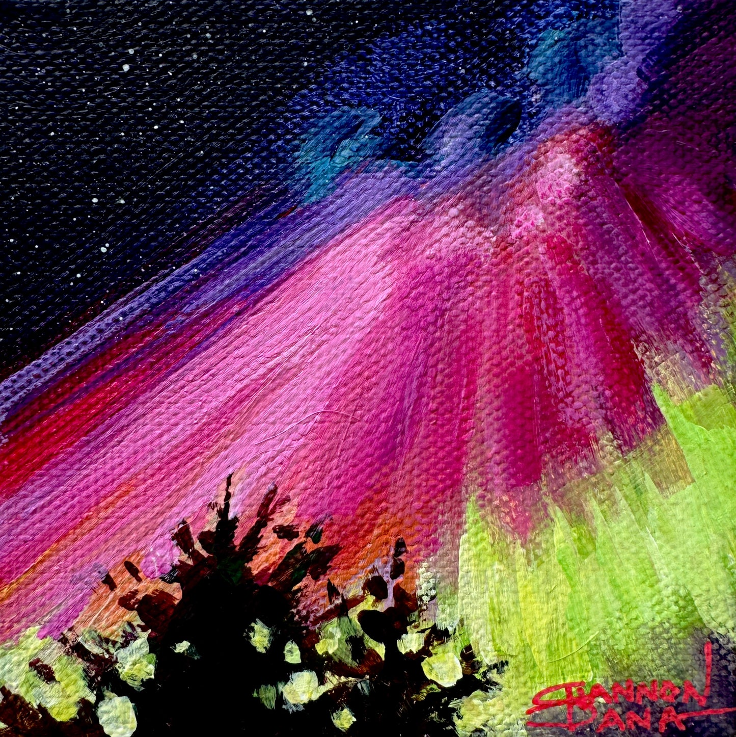 Silent Symphony by Shannon Dana