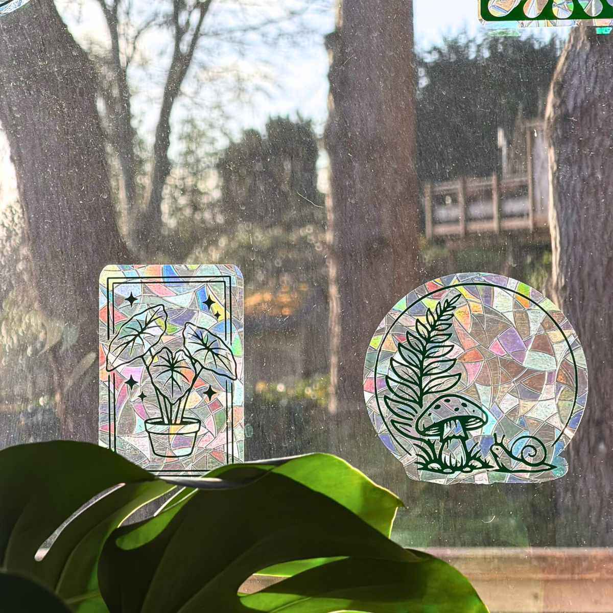 Alocasia House Plant Suncatcher | Window Cling | Home Decor