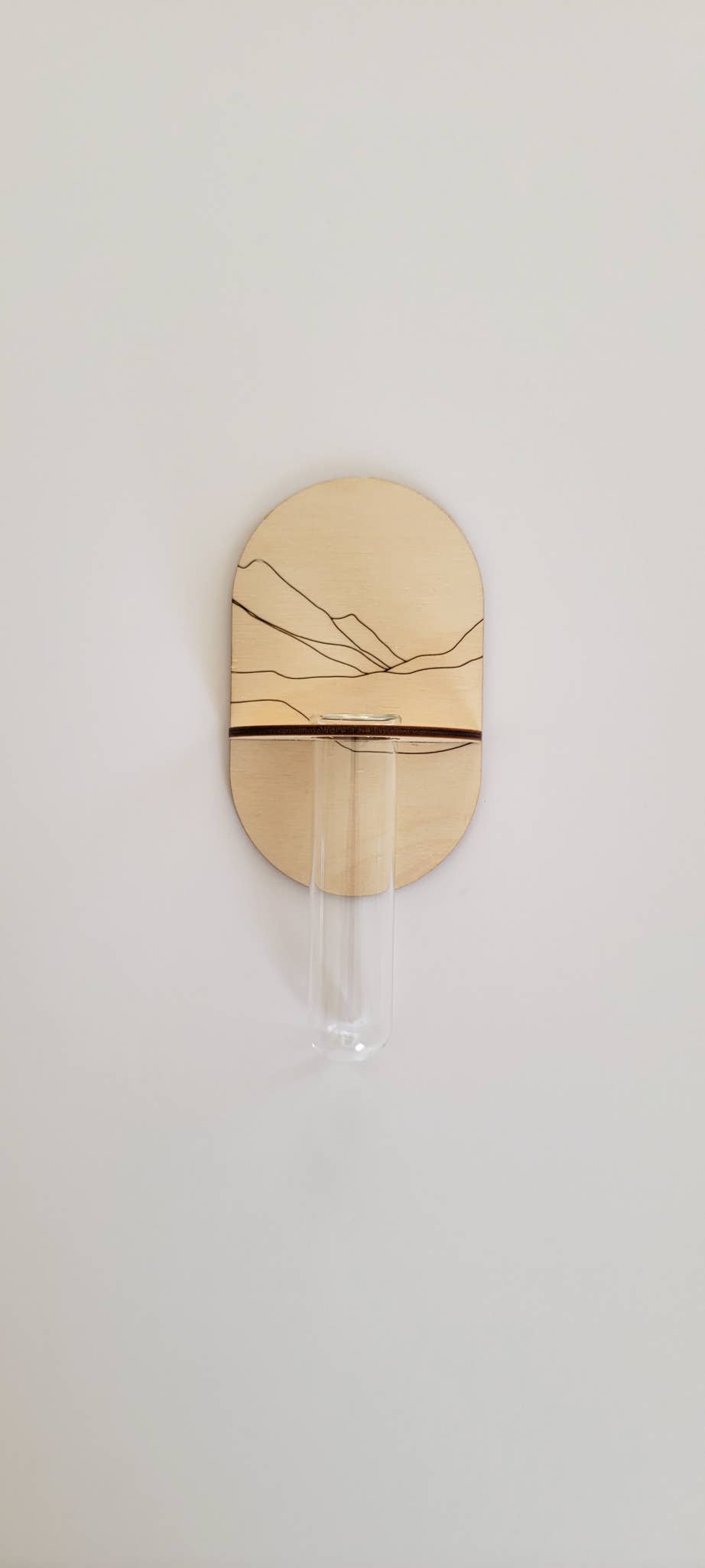 Propagation Wall Holder
