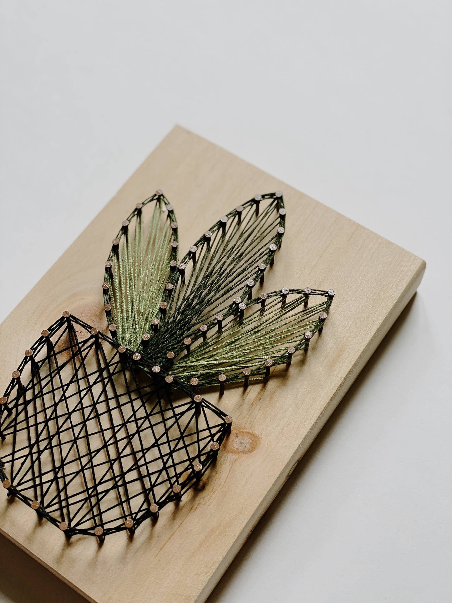Cactus Plant String Art (DIY Kit)