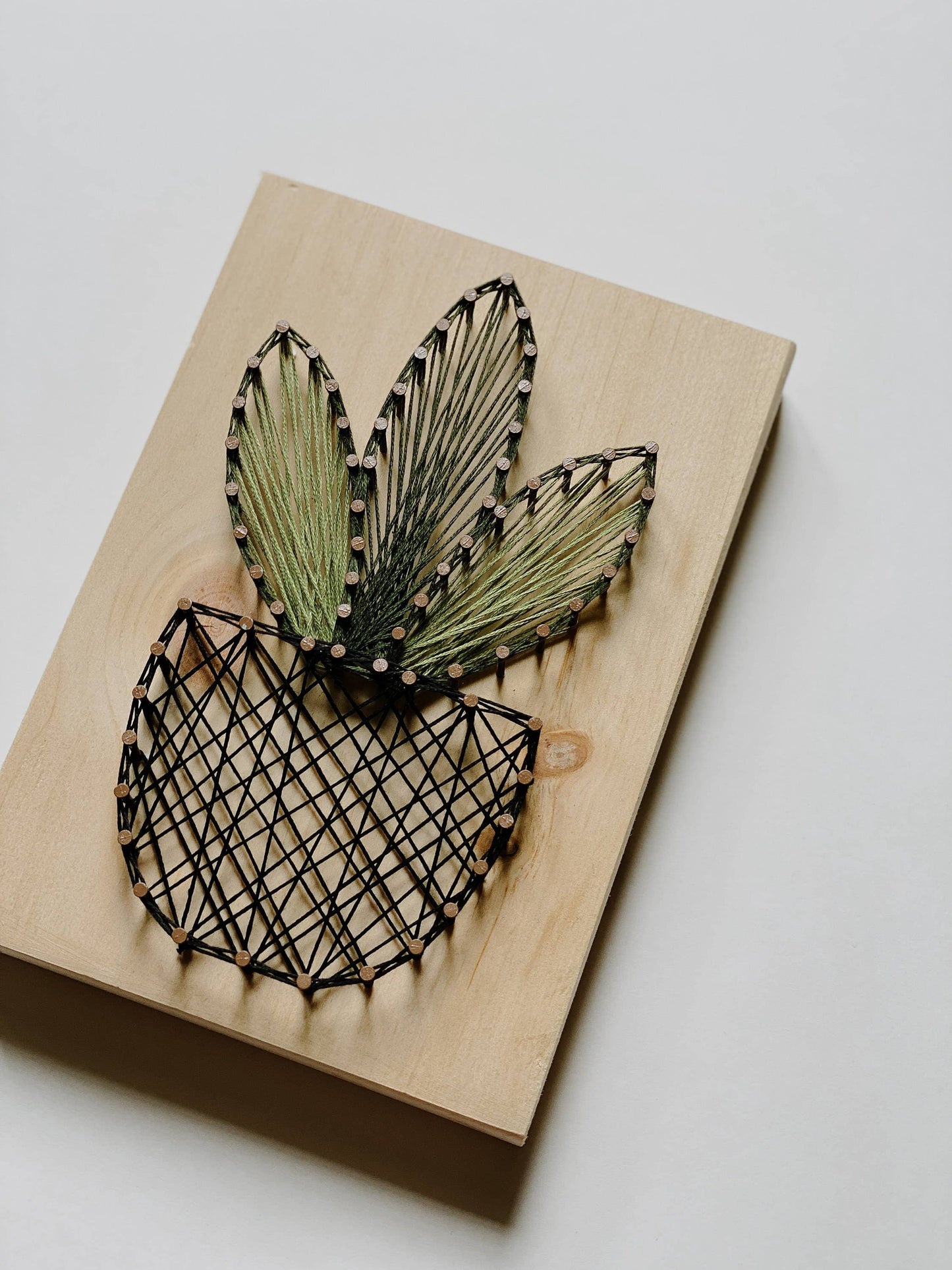 Cactus Plant String Art (DIY Kit)
