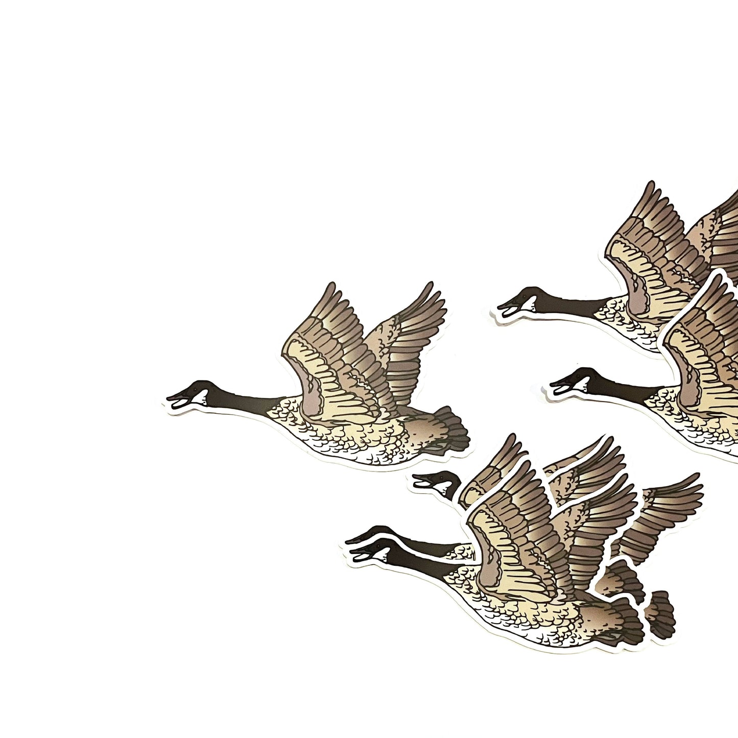 Canada Goose Sticker