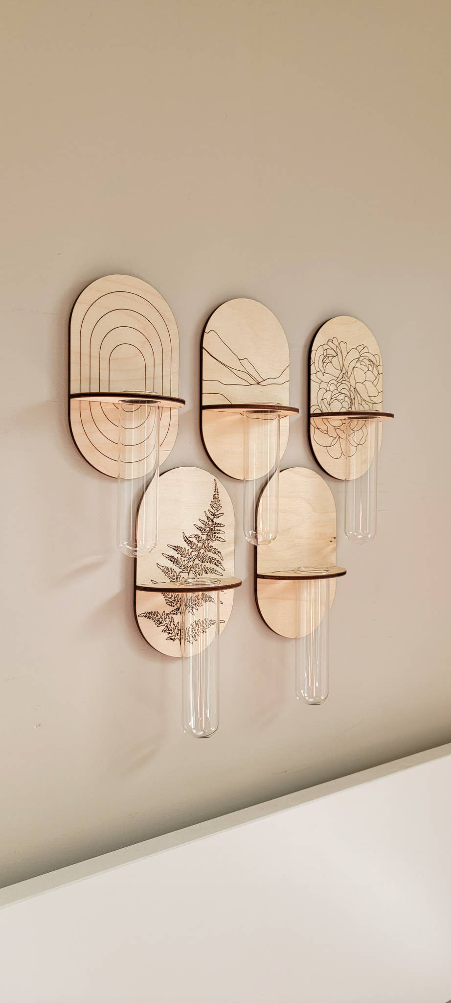 Propagation Wall Holder