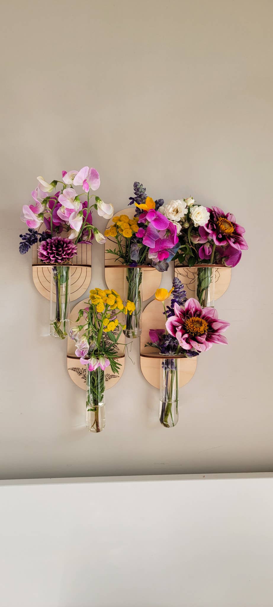 Propagation Wall Holder