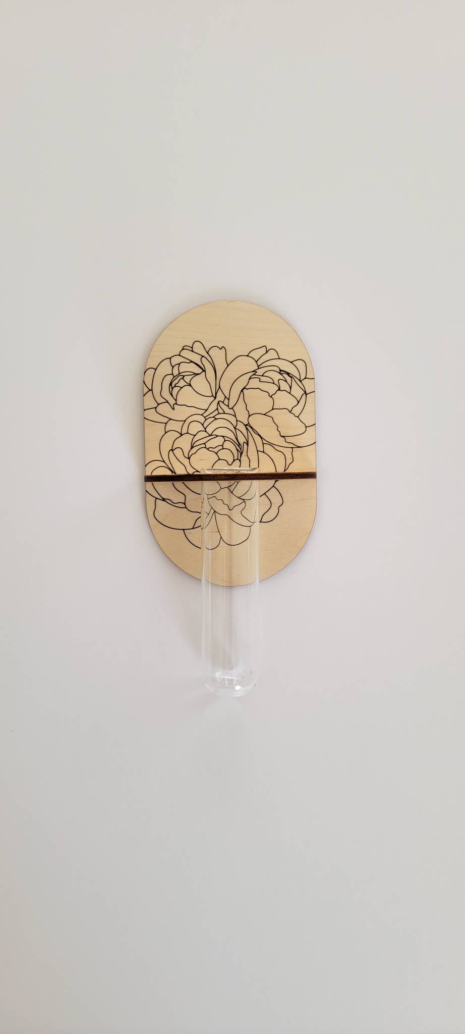 Propagation Wall Holder