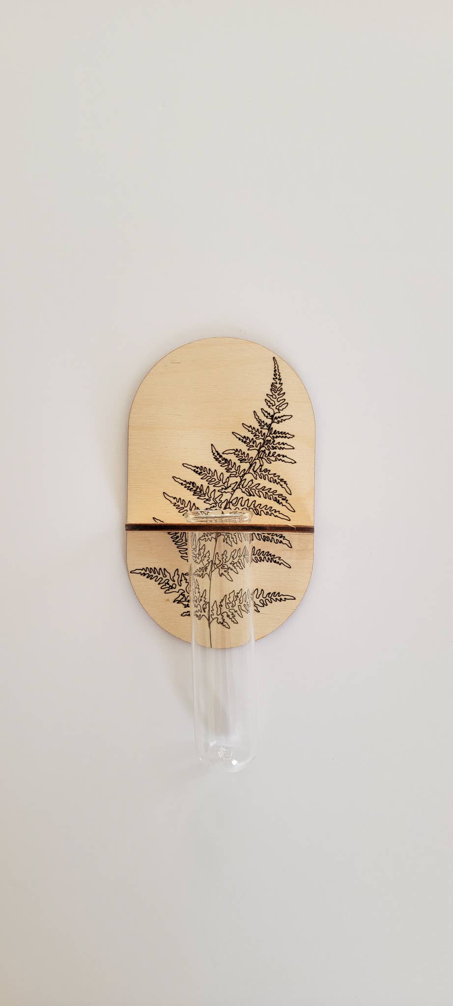 Propagation Wall Holder