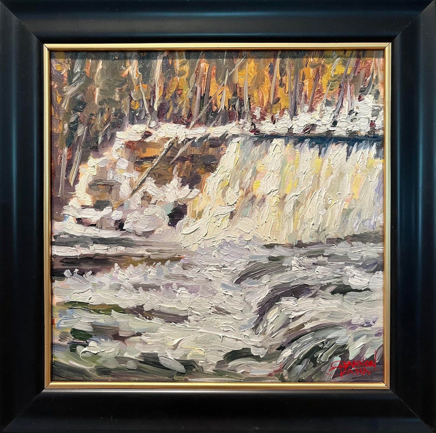 Dawson Falls (Plein Air) by Shannon Dana