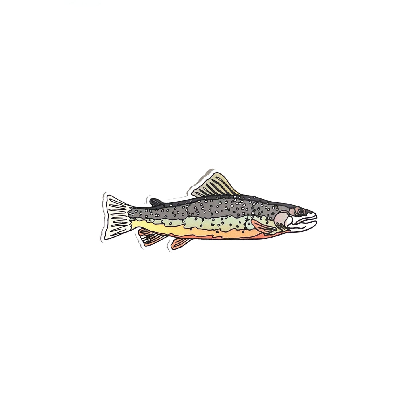 Trout Fish Sticker
