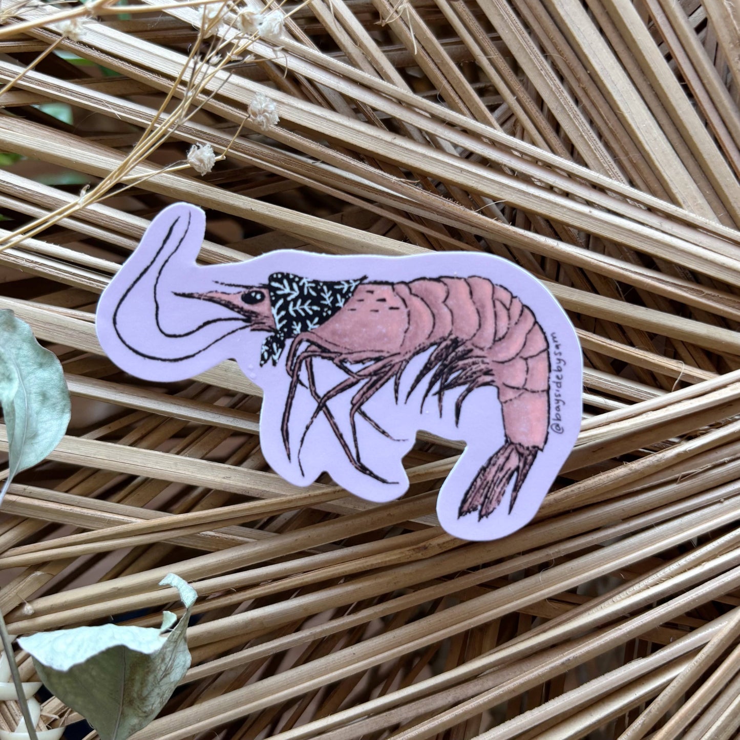 Nonna Shrimp Sticker