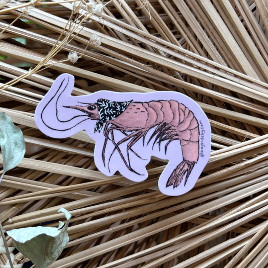 Nonna Shrimp Sticker
