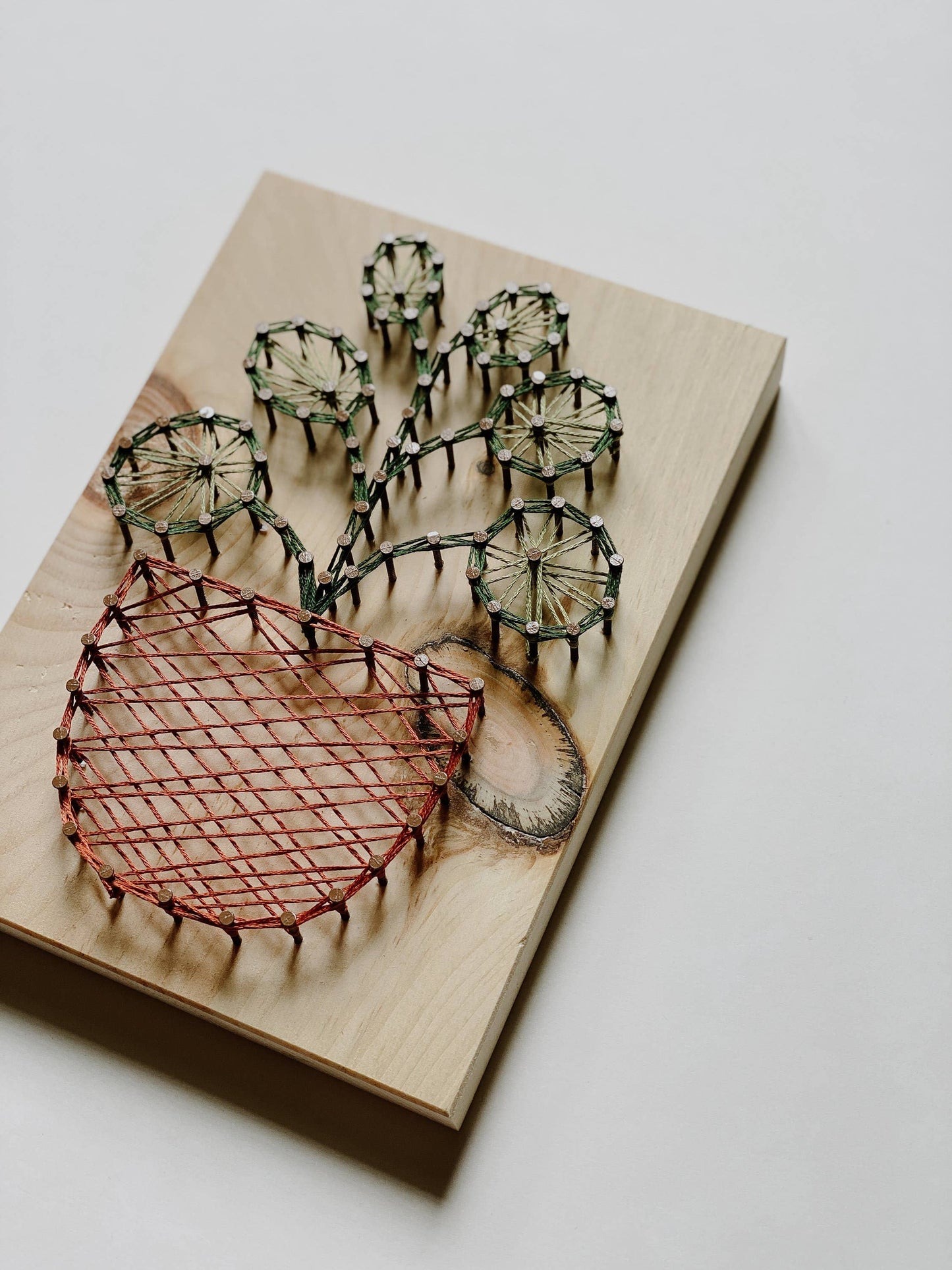 Pilea Plant String Art (DIY Kit)