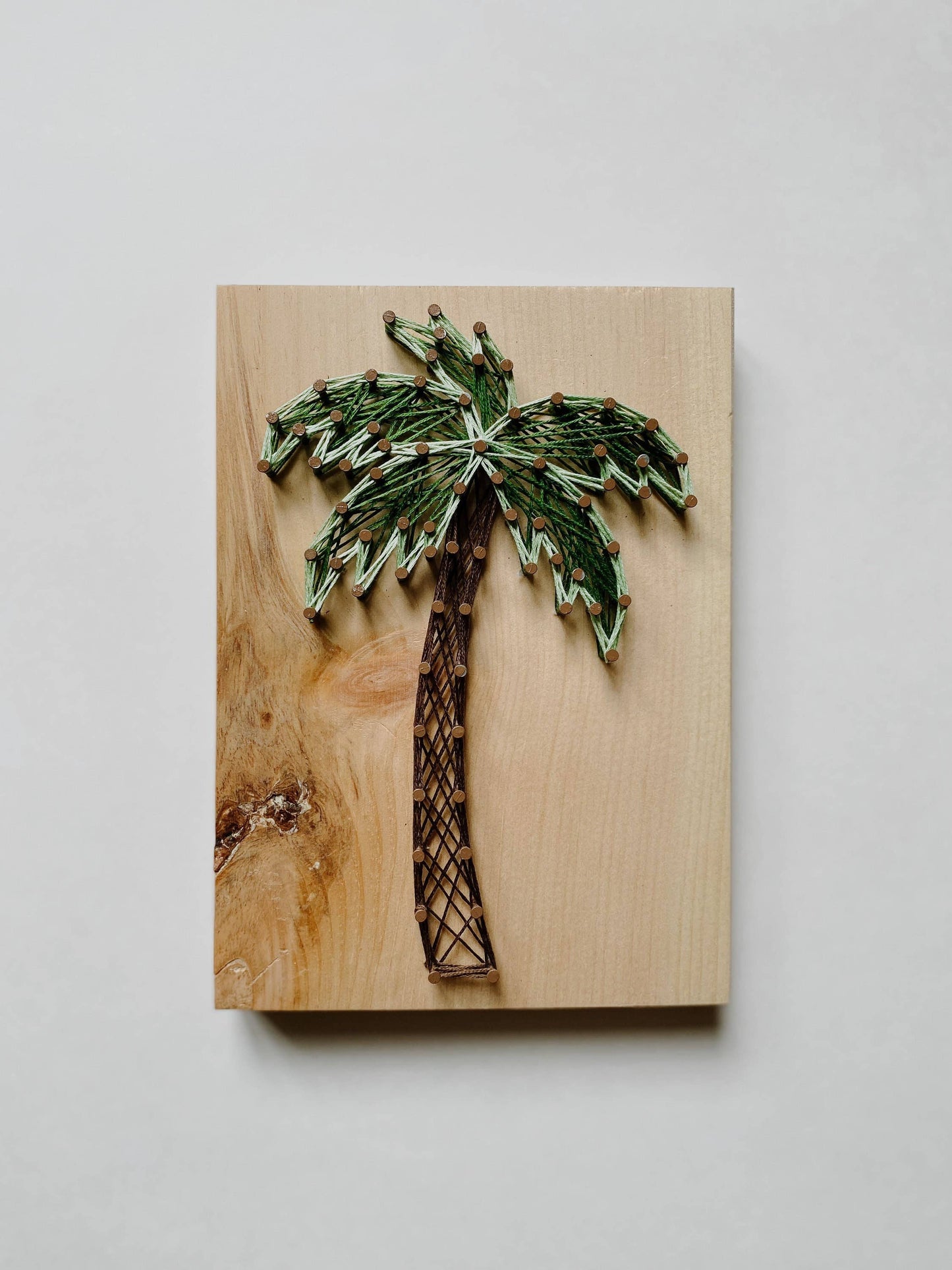 Palm Tree String Art (DIY Kit)