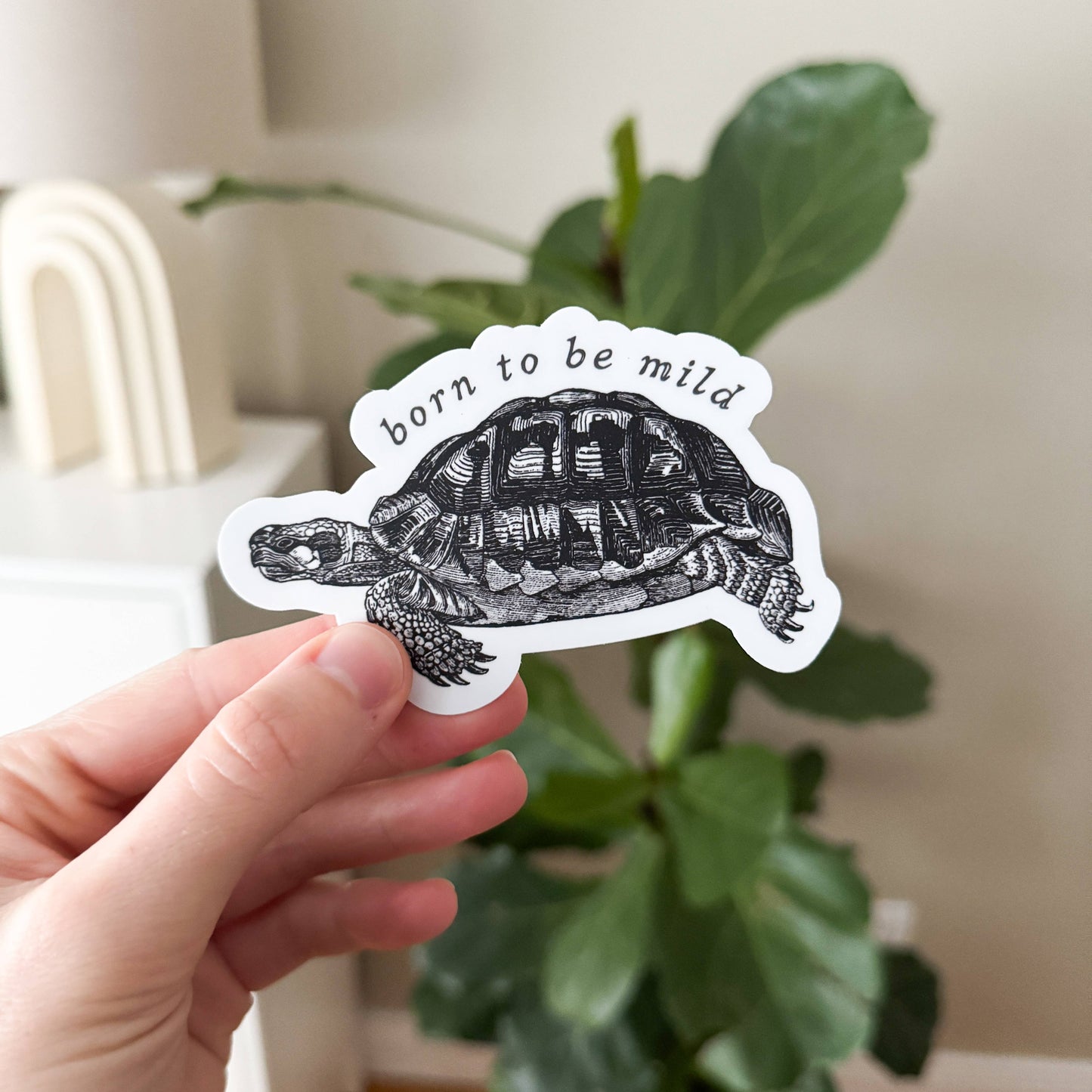Born to be Mild Tortoise Sticker