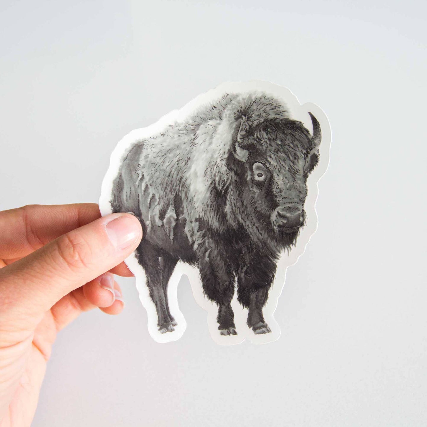 Bison Sticker