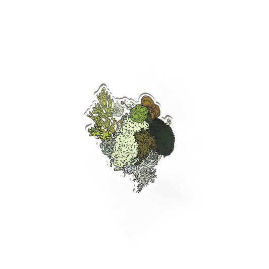 Moss and Lichen Sticker