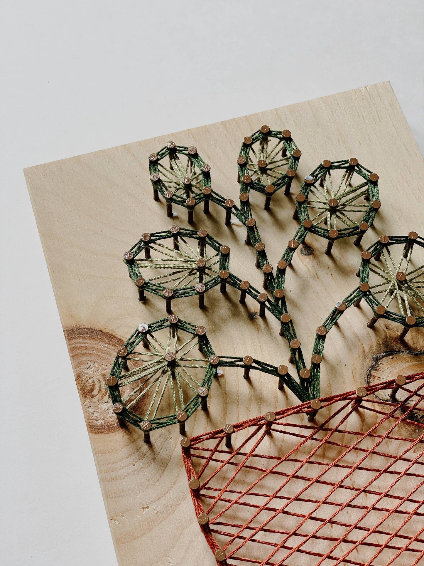 Pilea Plant String Art (DIY Kit)