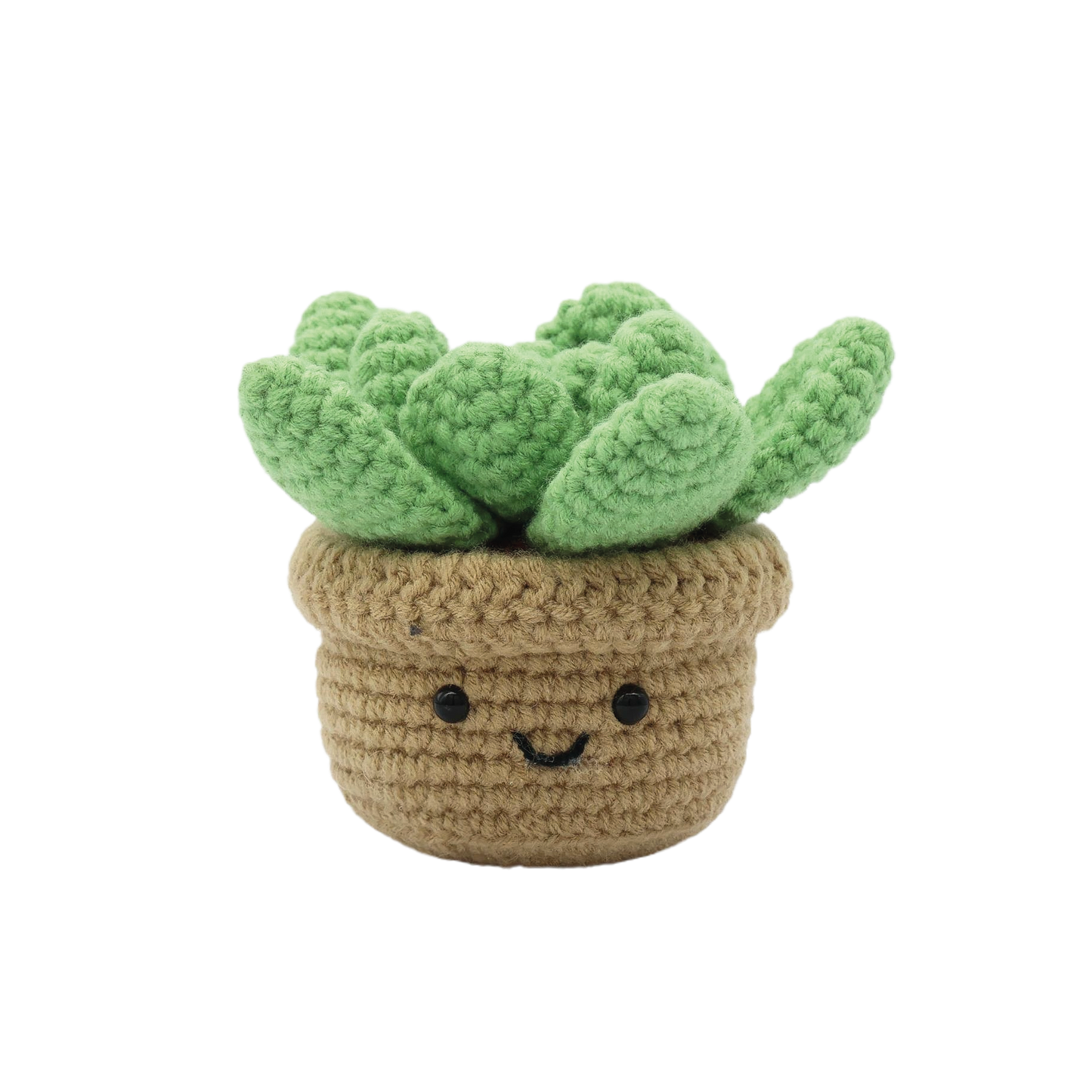 Succulent Crochet Kit