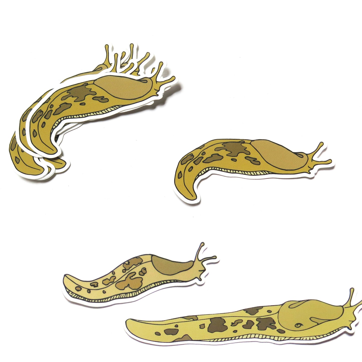 Small Curvy Slug Sticker