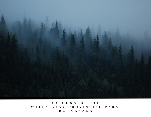 Wells Gray Postcard