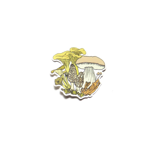 Chanterelle Mushroom Bunch Sticker