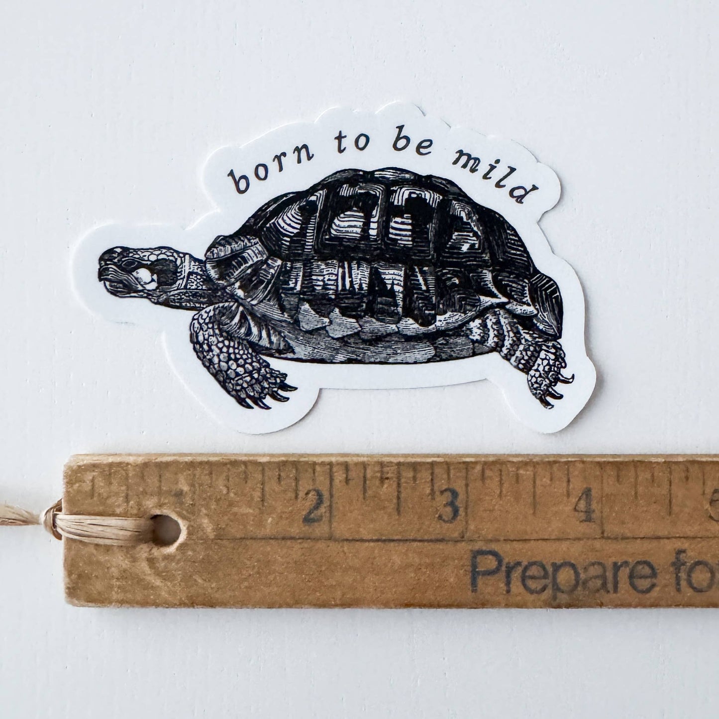 Born to be Mild Tortoise Sticker