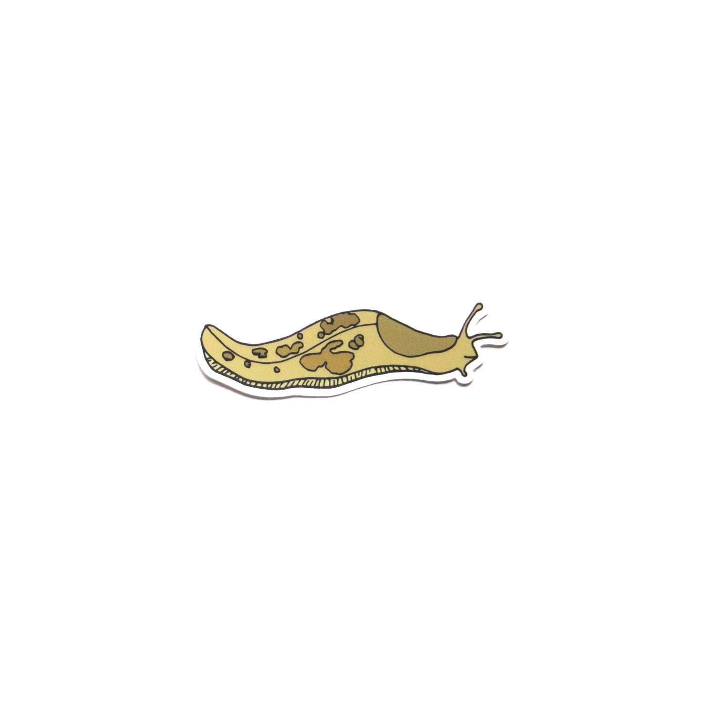 Small Slug  Sticker