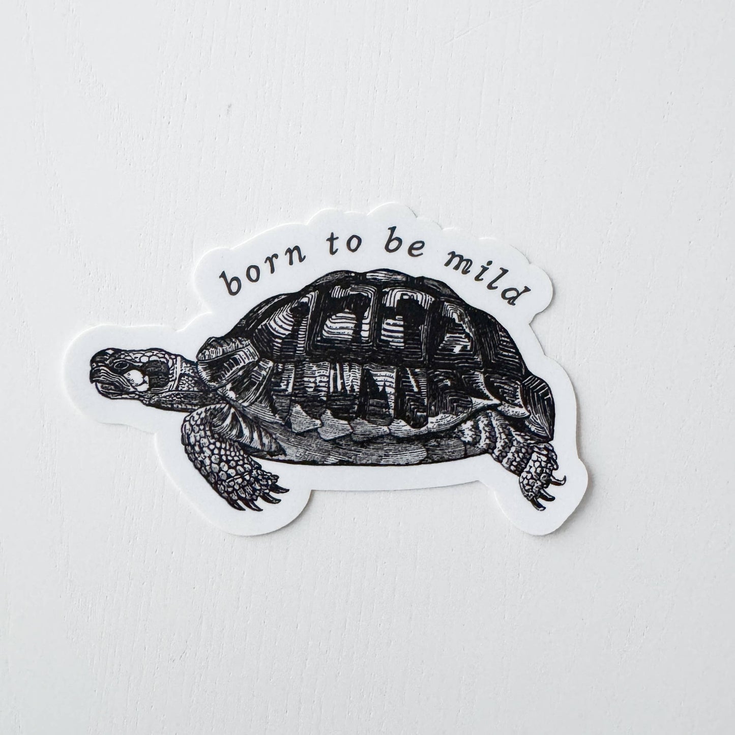 Born to be Mild Tortoise Sticker