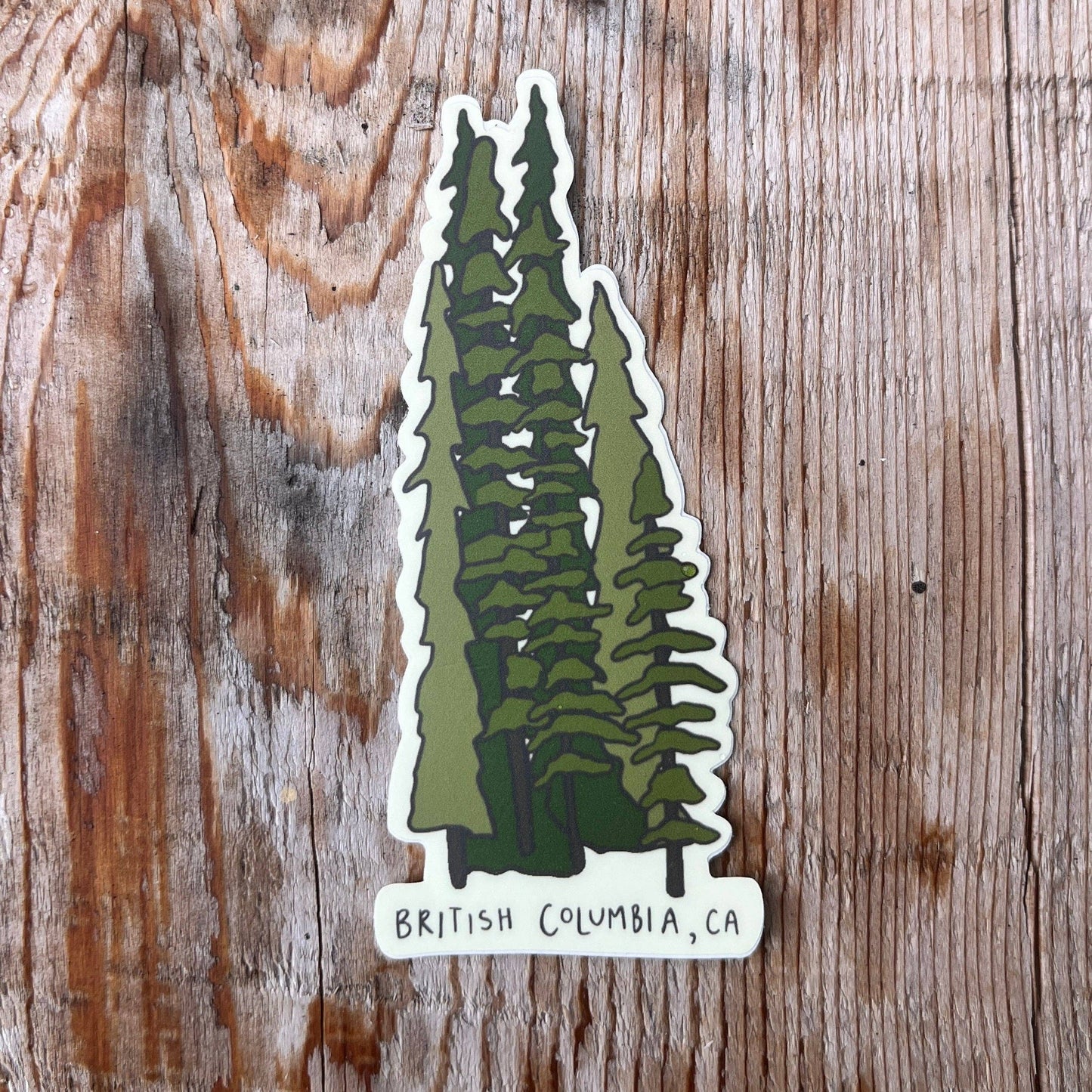 Tall Trees BC Sticker