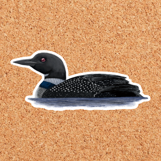 Loon Vinyl Sticker