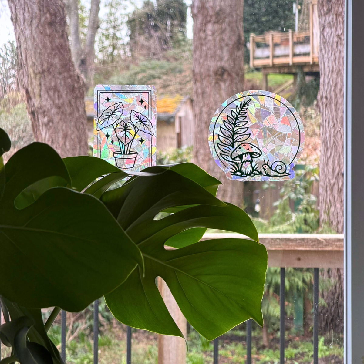 Alocasia House Plant Suncatcher | Window Cling | Home Decor