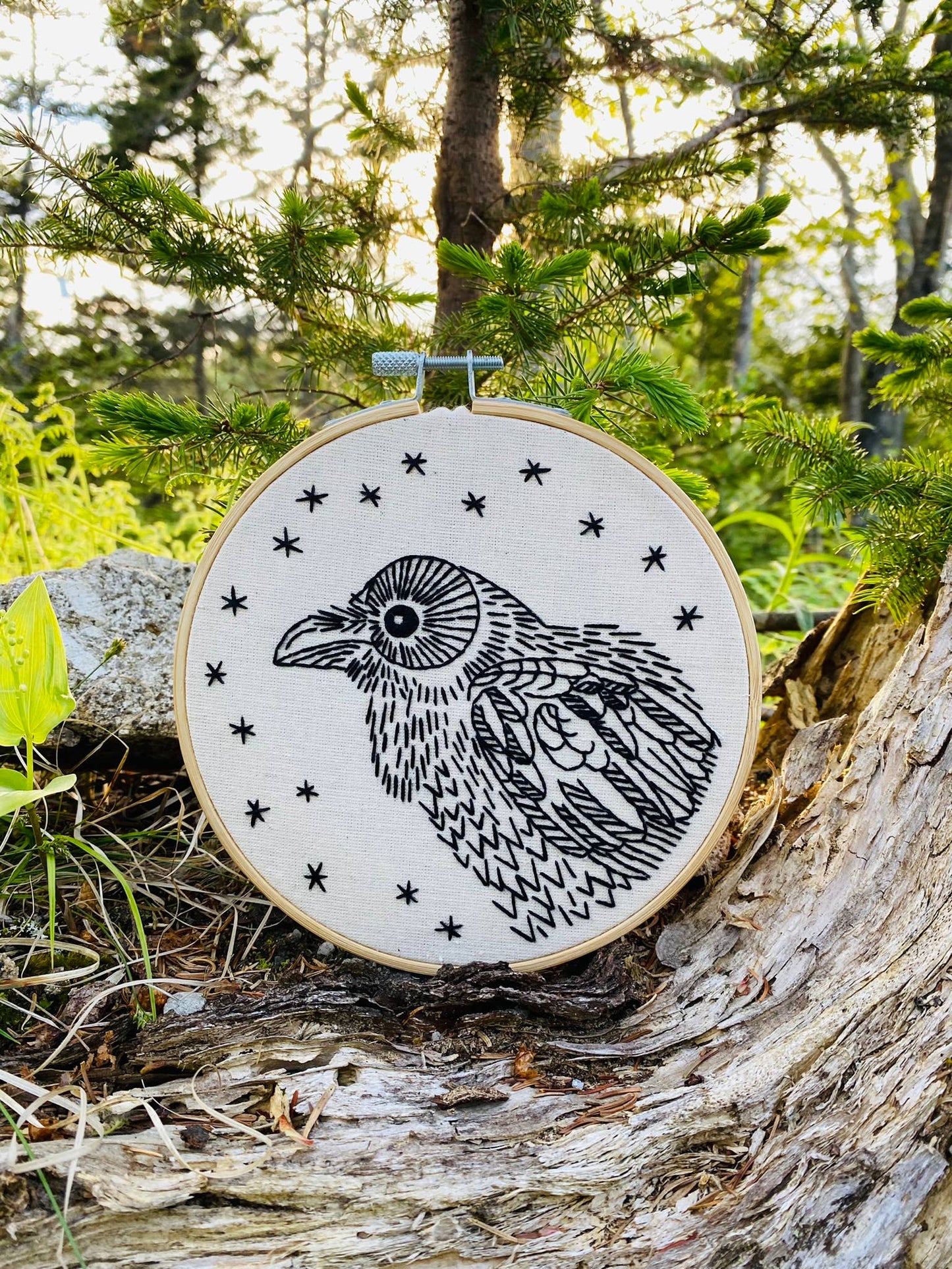 Raven Nevermore Embroidery Kit