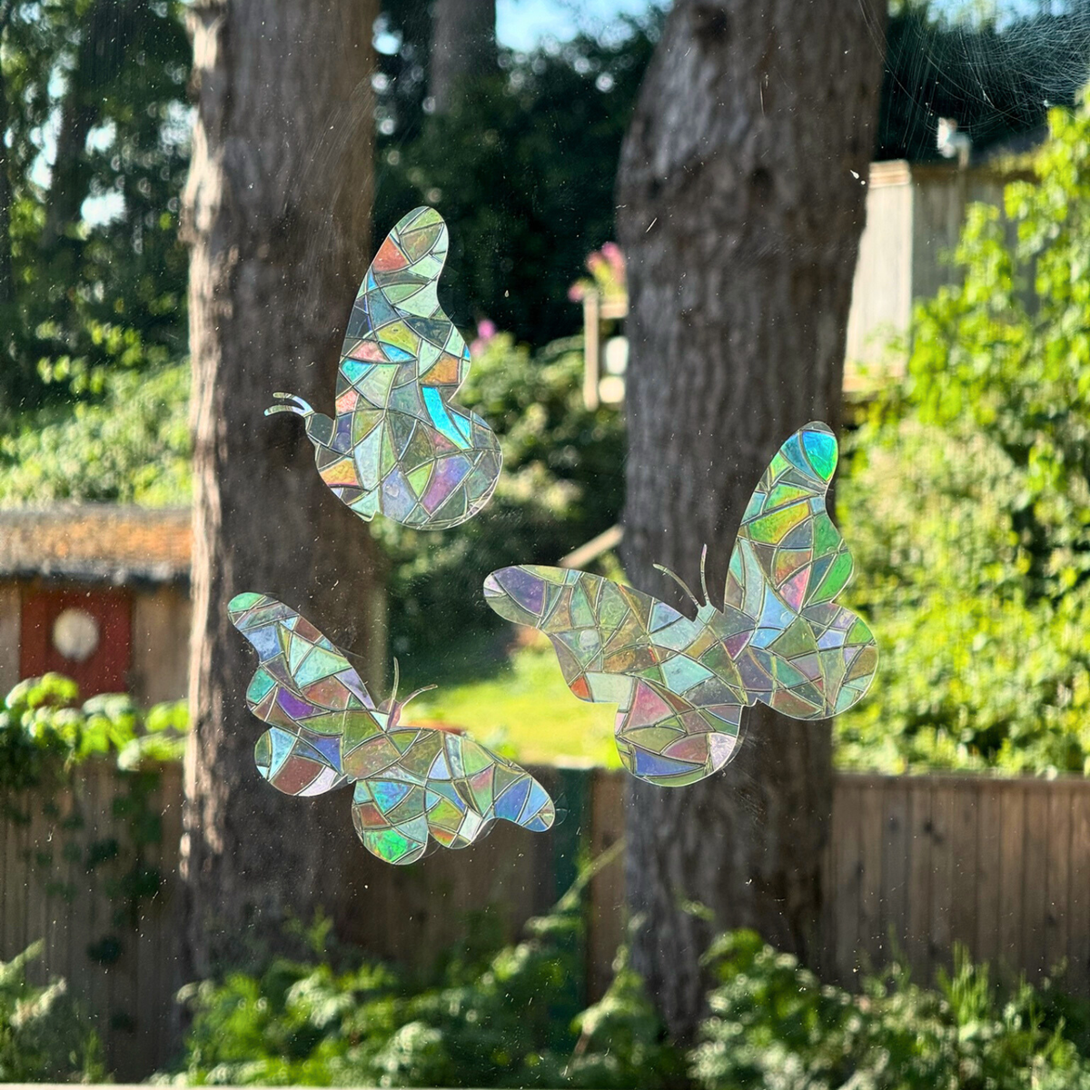 Butterfly Suncatcher Stickers | Set of 3 | Window Cling