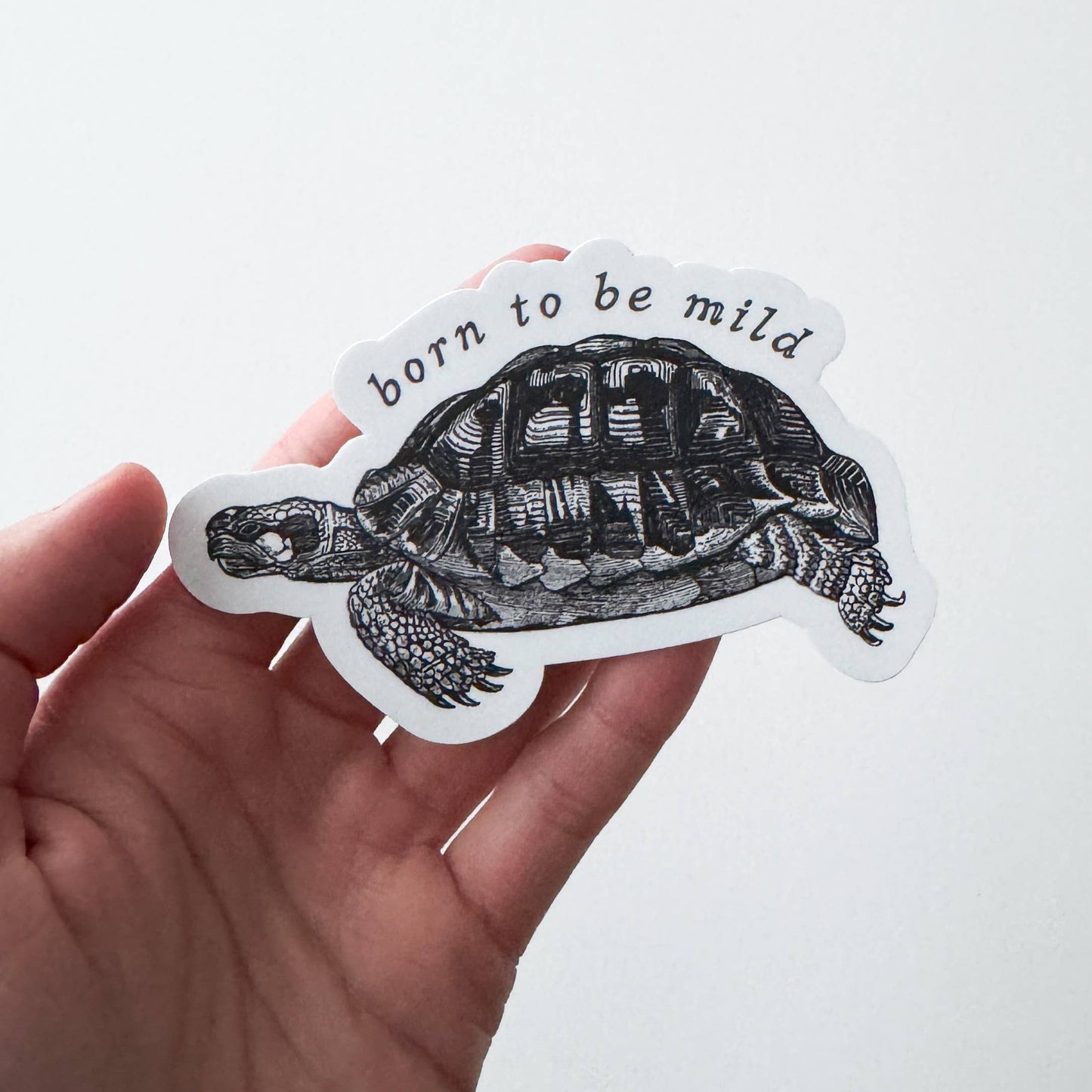Born to be Mild Tortoise Sticker