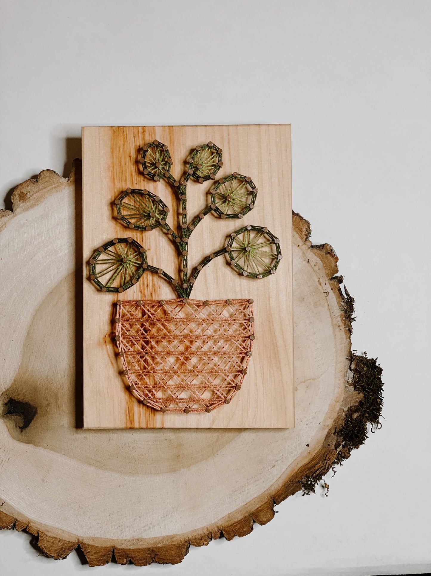 Pilea Plant String Art (DIY Kit)