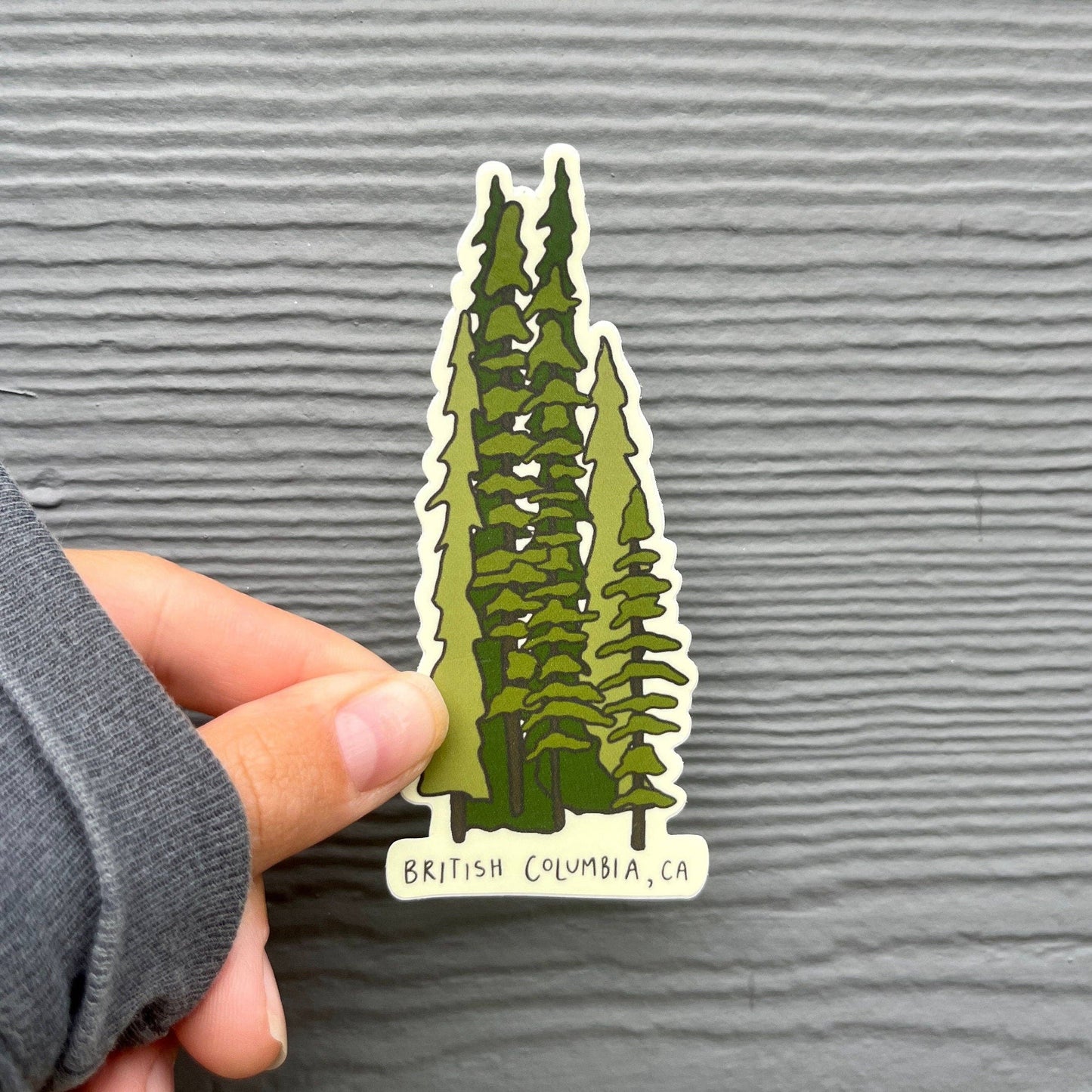 Tall Trees BC Sticker