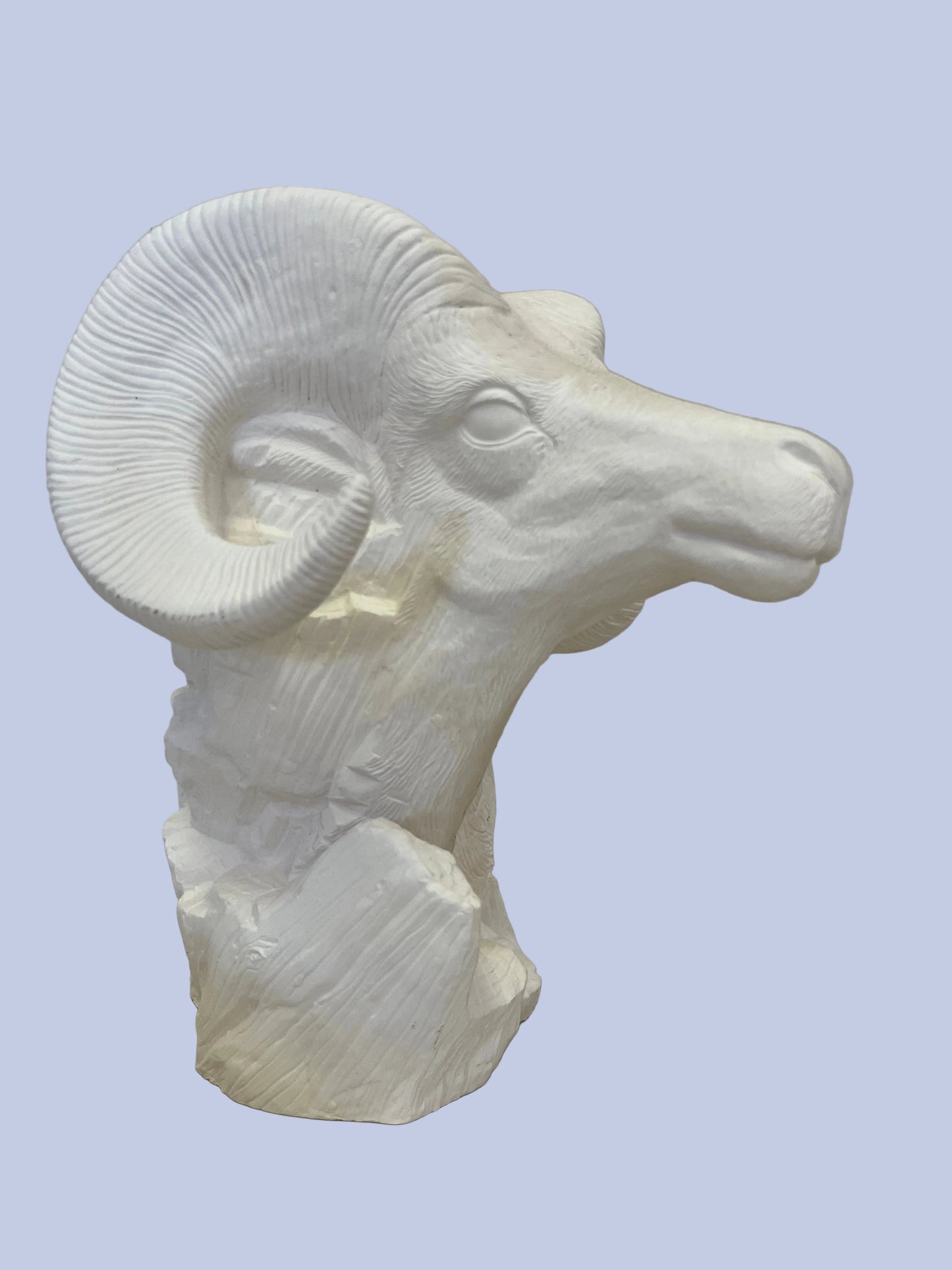 Big Horn Bust Ceramic Bisque