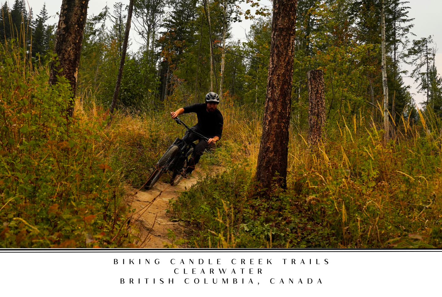 Wells Gray Postcard