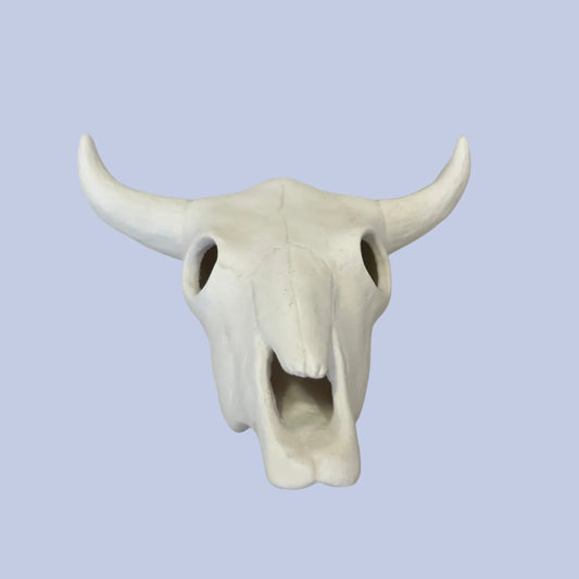 Cow Skull Ceramic Bisque